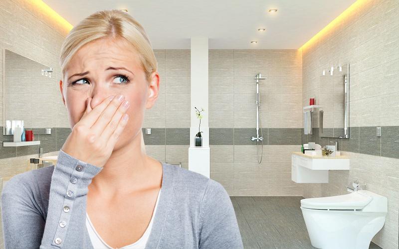 Tại sao nhà vệ sinh lại có mùi hôi khó chịu