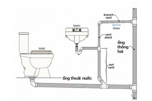 vị trí lắp lavabo