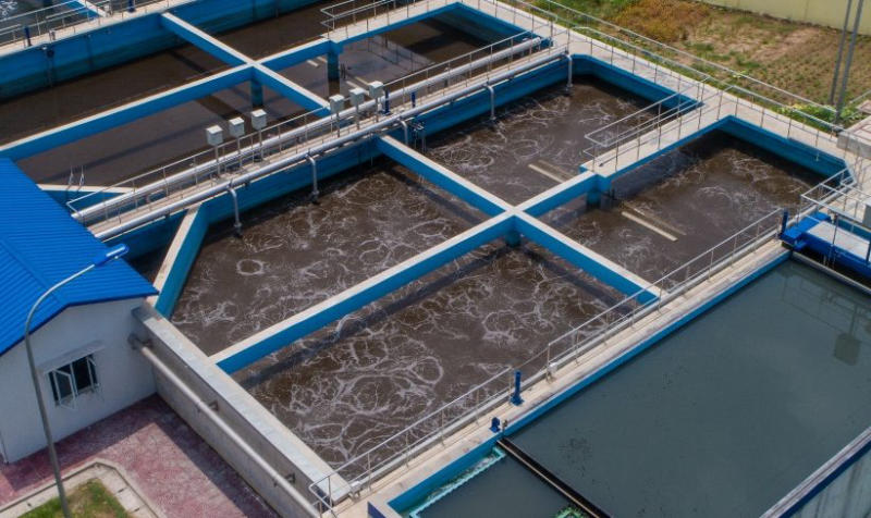 Bùn vi sinh xử lý nước thải 