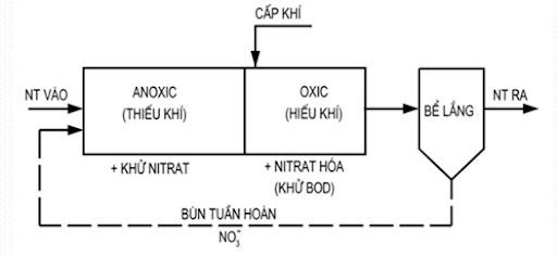 Quá trình Nitrat hóa