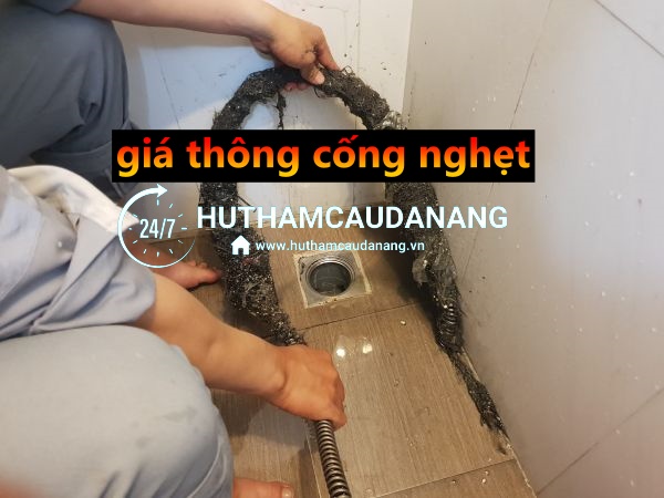 giá thông cống nghẹt