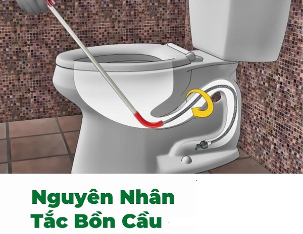 nguyên nhân tắc bồn cầu