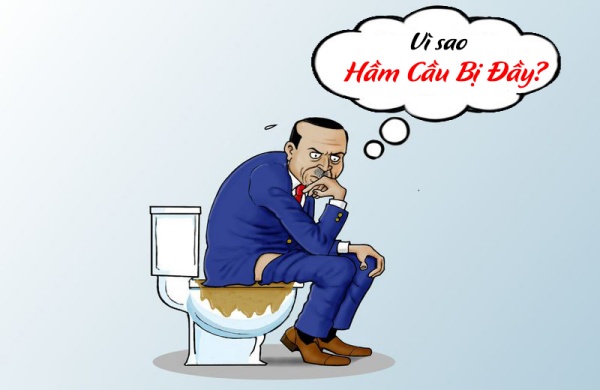 vì sao hầm cầu đầy