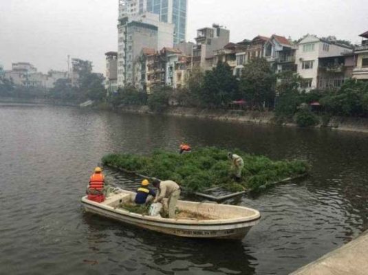 nước sông 
