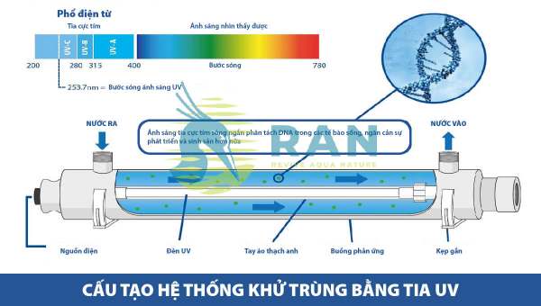 khử trùng bằng tia UV