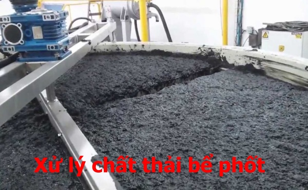 xử lý chất thải hầm cầu đúng quy định